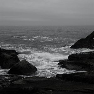 刘涛帐篷叫的很好看
