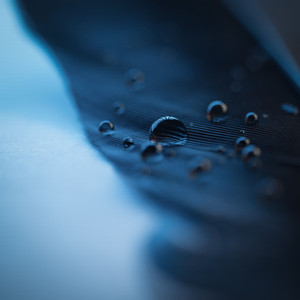 刘涛帐篷叫的很好看
