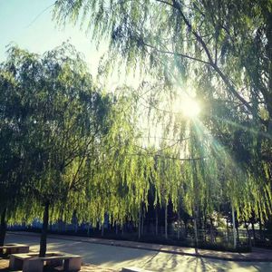 刘涛帐篷叫的很好看
